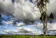 2022-2023賽季瑞士足球超級聯賽積分榜.