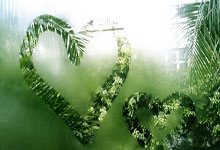 JN江南体育官网：聯賽杯第4輪伯恩利0-1熱刺 小盧卡斯破門凱恩造險.